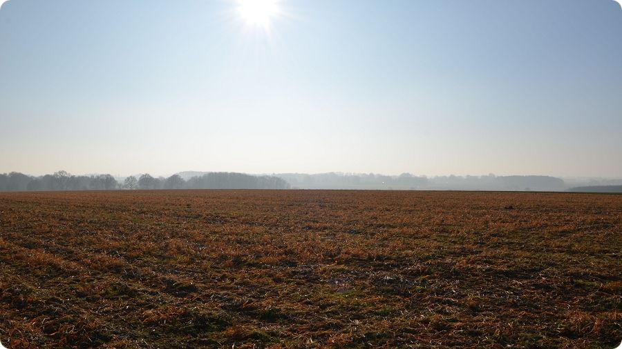 Lieu-dit du Champ-des-Batailles  toutteville