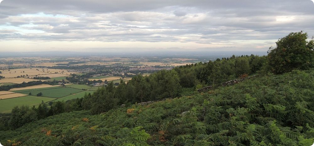 Les landes de Great-Ayton