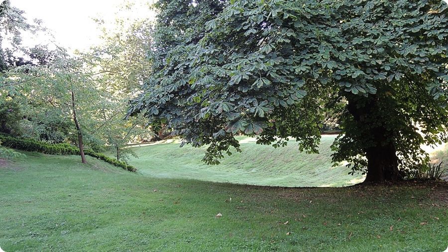 Site castral médiéval de Buttercrambe