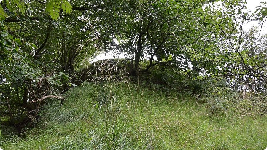 Site castral médiéval de Liddel-Strength