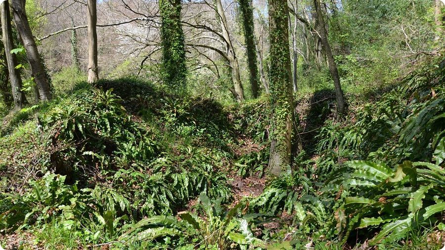 Vestiges du chteau mdival de Bec-de-Mortagne