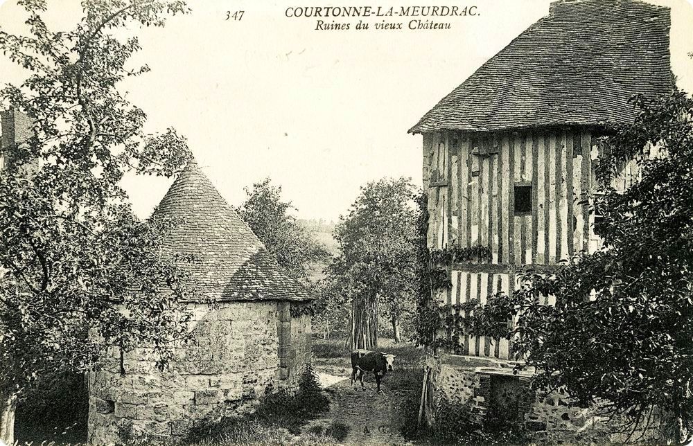 Vestiges du chteau de Courtonne-la-Meurdrac